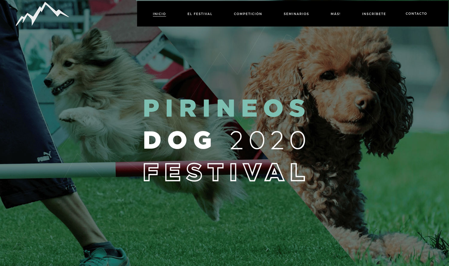 Pirineos Dog Festival